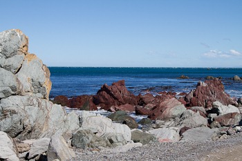DCRAIG_20100918_446_web