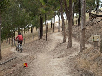 Whither Hills Mountain Bike Park, Blenheim